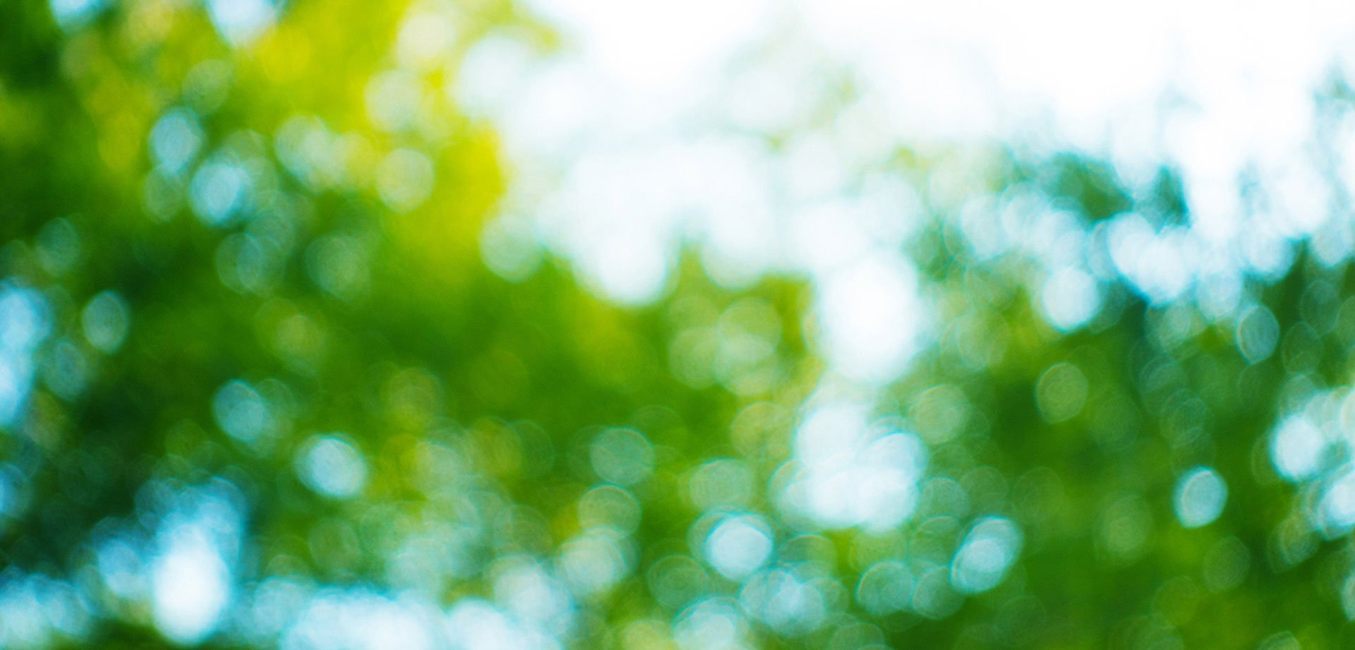 We've Updated the Security of Your Online Banking Login