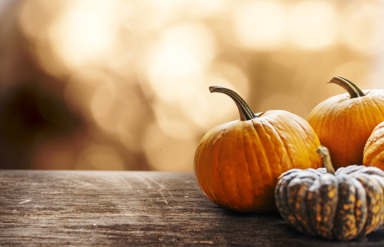 "Feed the Need" Food Drive 